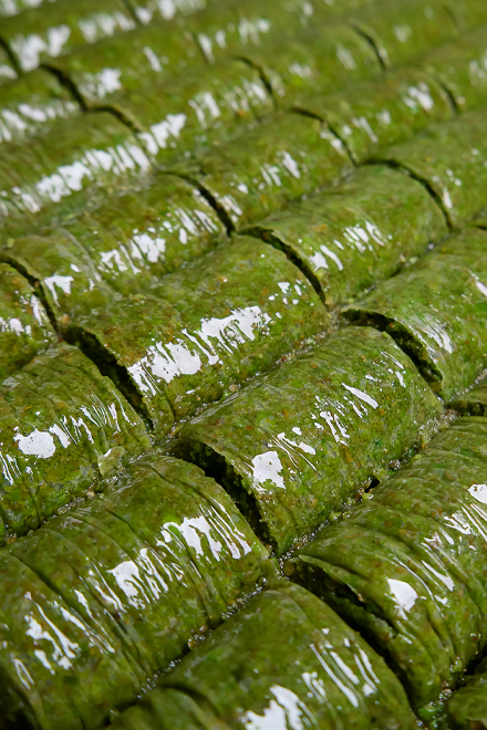 Pistachio Roll